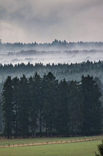 La lutte contre les incendies se poursuit dans la réserve naturelle des Hautes Flandres belges. Des équipes de secours allemandes sont également mobilisées, opérant depuis Monschau, dans l’Eifel.